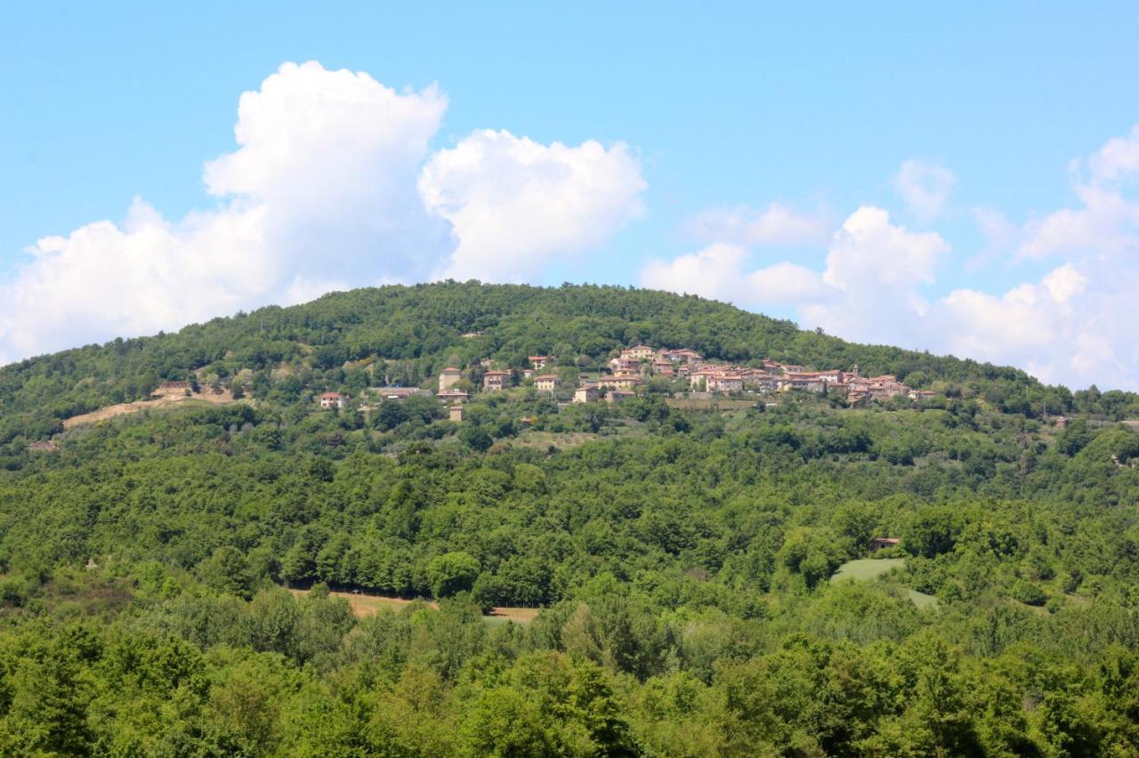 Agriturismo La Via Dell'Oliviera Ciciano Eksteriør billede